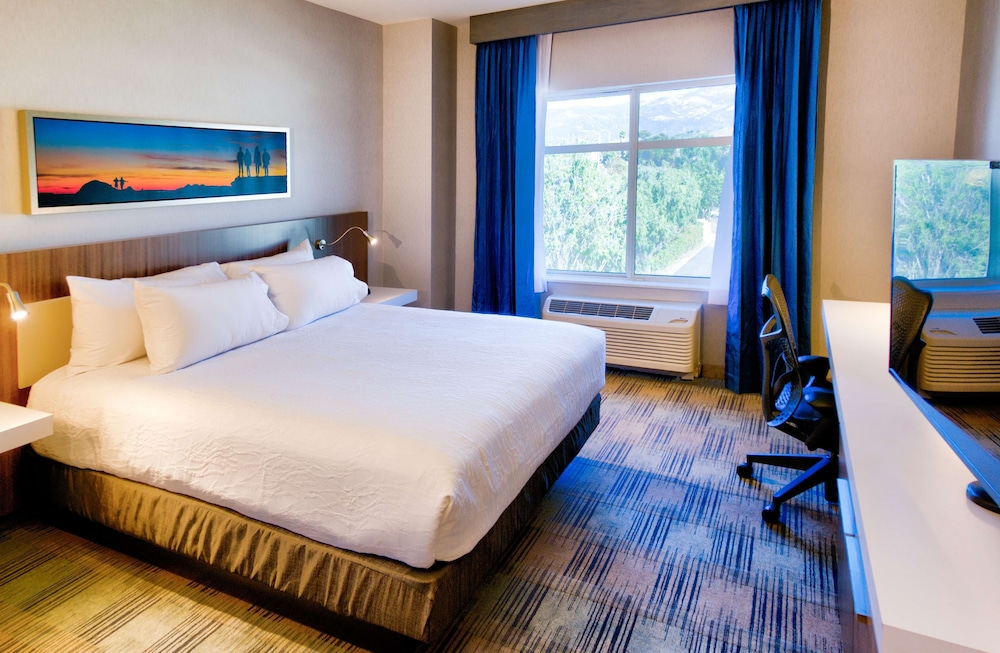 Hilton Garden Inn Santa Barbara Goleta - photo 26