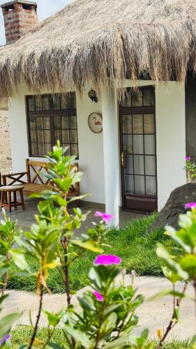 Tulusia Lake View — Arusha — photo 3