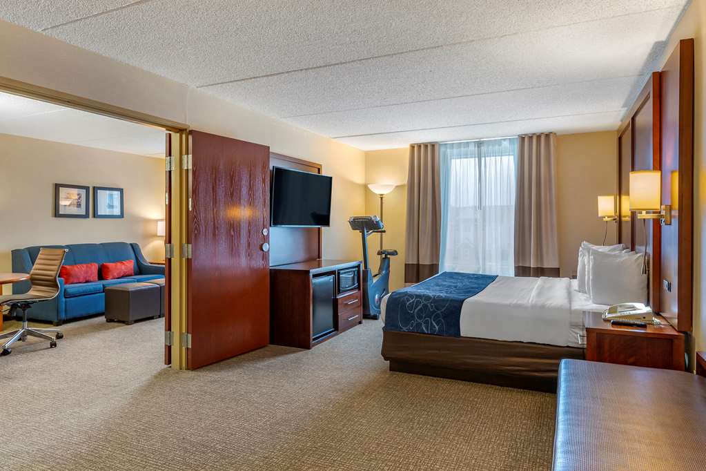 Comfort Suites Manassas Battlefield Park - photo 29