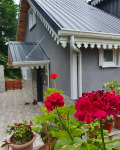 Cennet Bahcesi in Yomra, Turkey