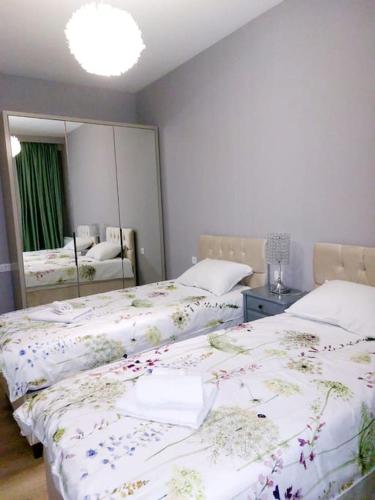 Luxury 2 BR Apartment in Isani