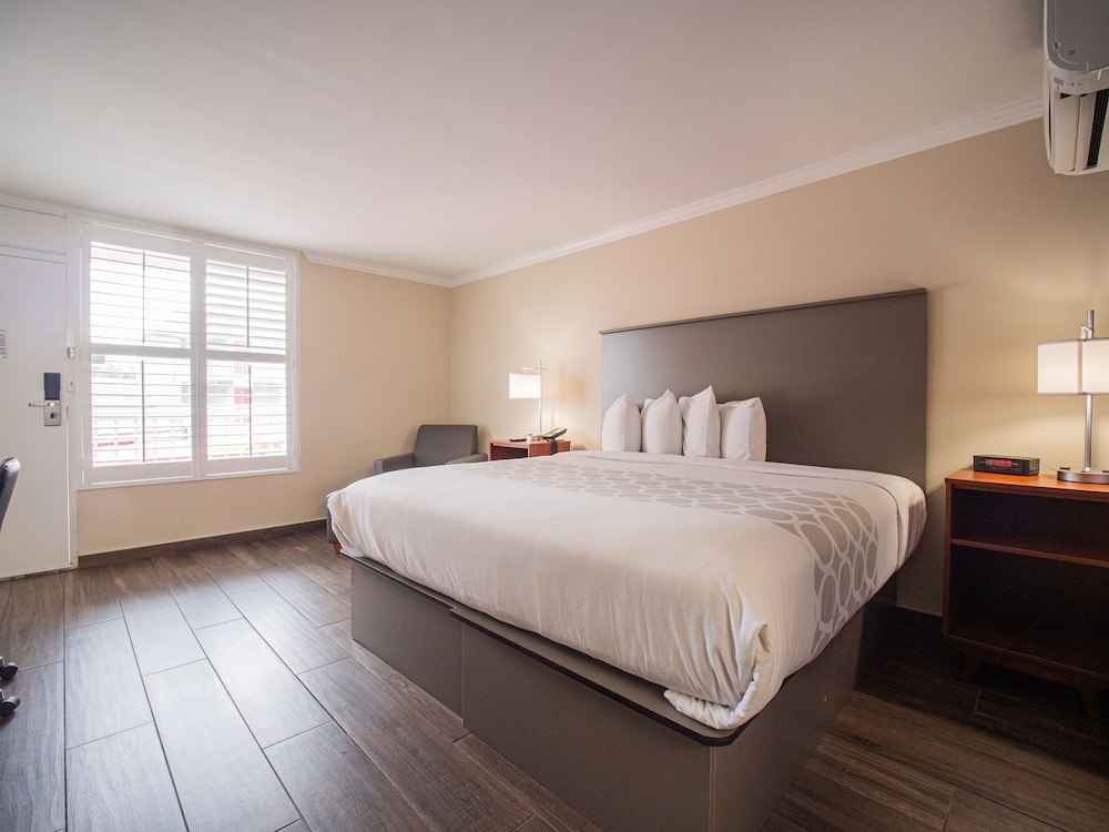 Equus Inn Ocala - photo 21