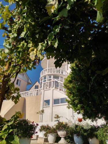 Mini Hotel Sandra - carbon neutral hotel in Sochi