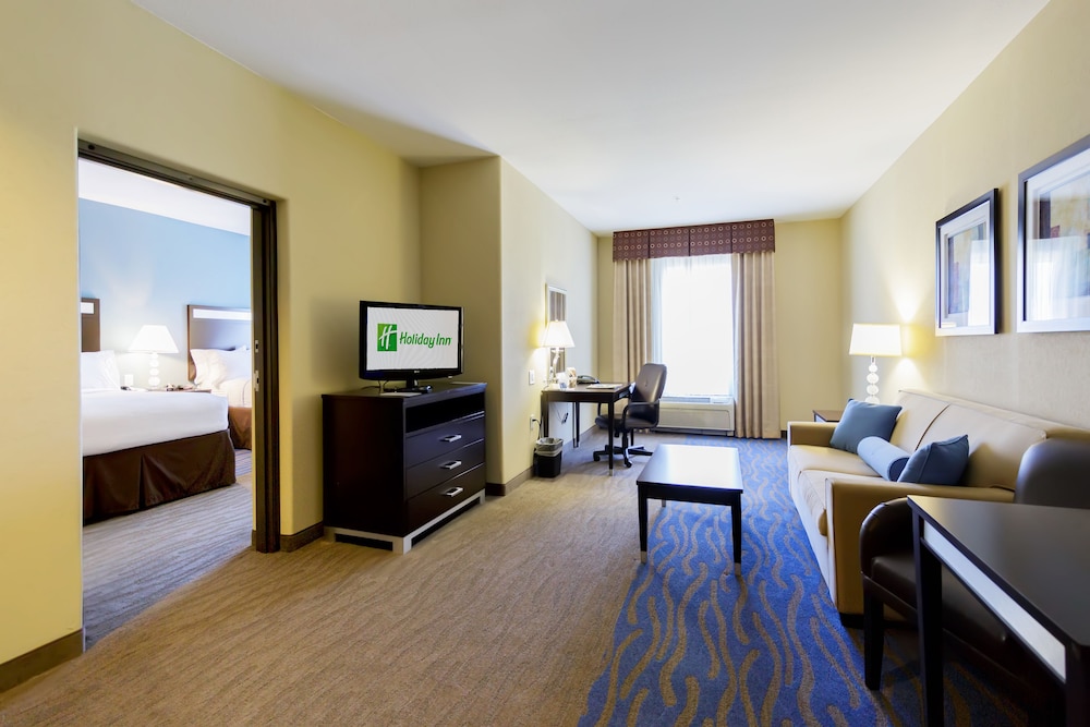 Holiday Inn Houston Webster by IHG - photo 10