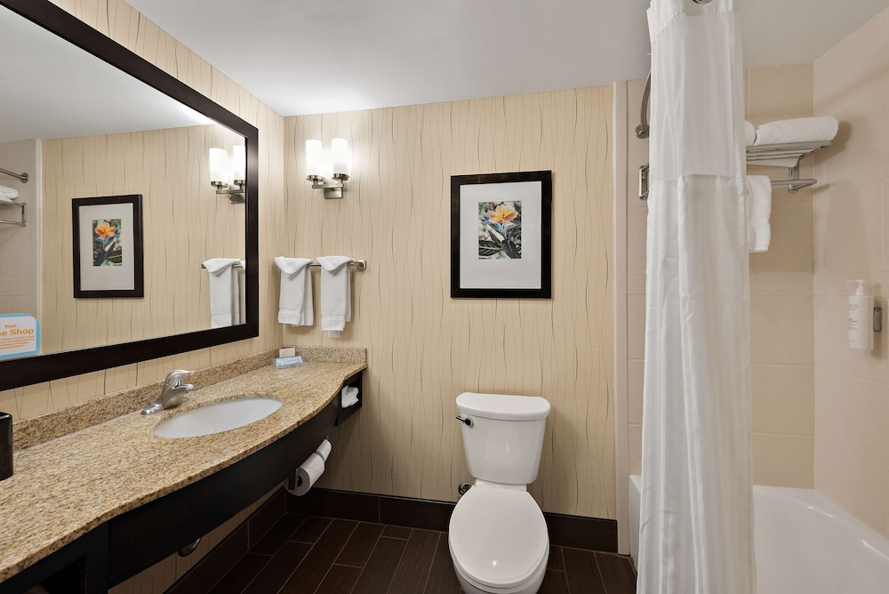 Hilton Garden Inn Findlay - photo 14