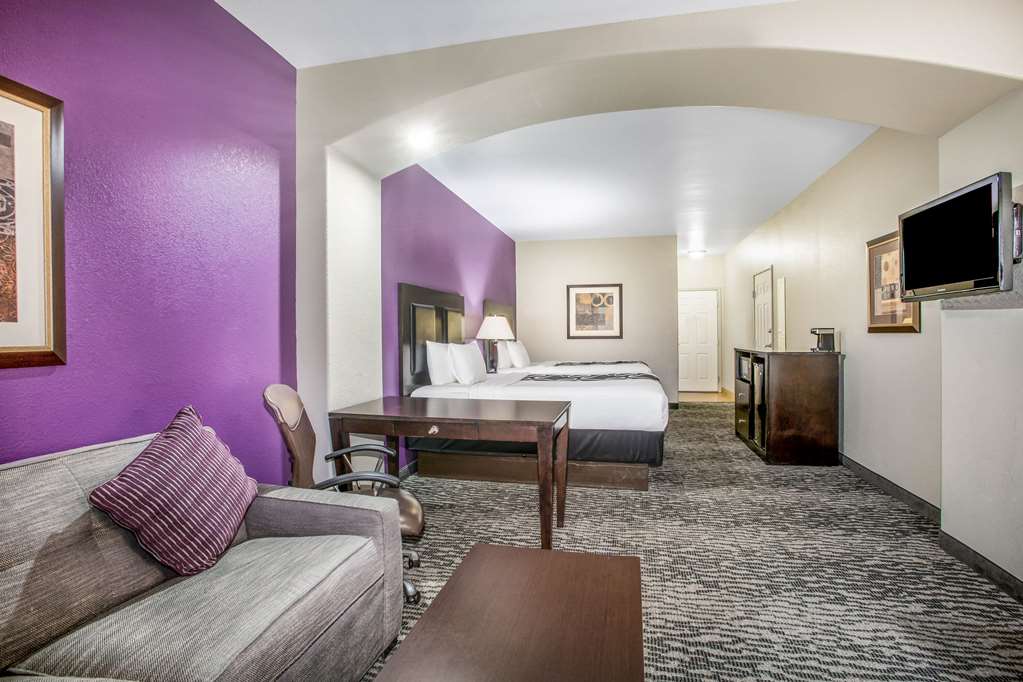 La Quinta Inn & Suites by Wyndham Kyle Austin South - photo 24