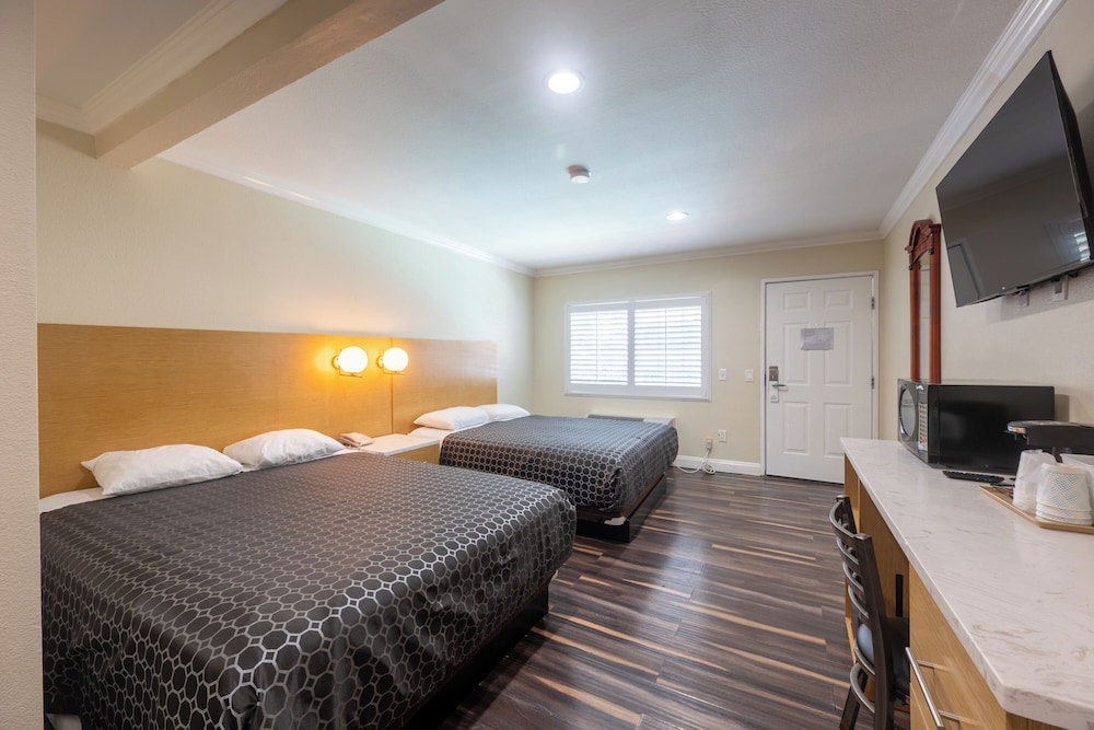 Hollywood City Inn - photo 11