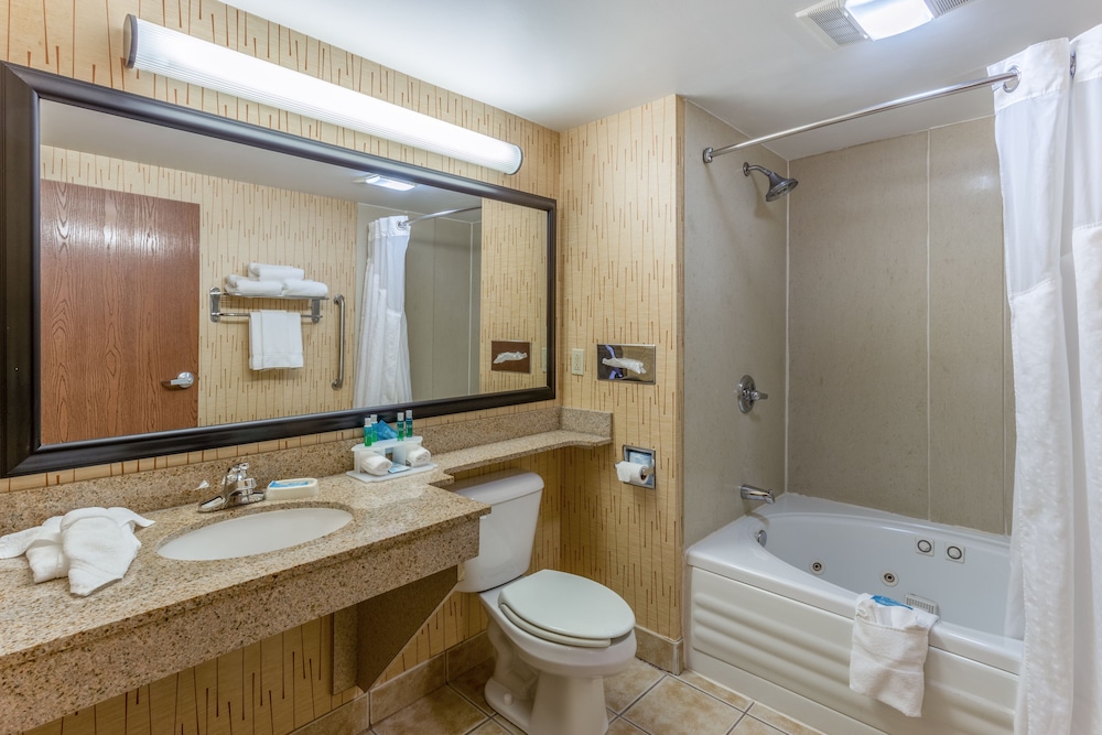 Holiday Inn Express Hotel & Suites Bowling Green by IHG - photo 20
