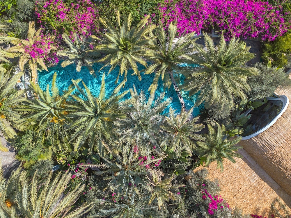 Flamingo Hotel & Spa Pet Friendly