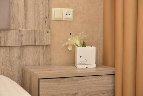 Apartment Elizabeth in Old Tbilisi