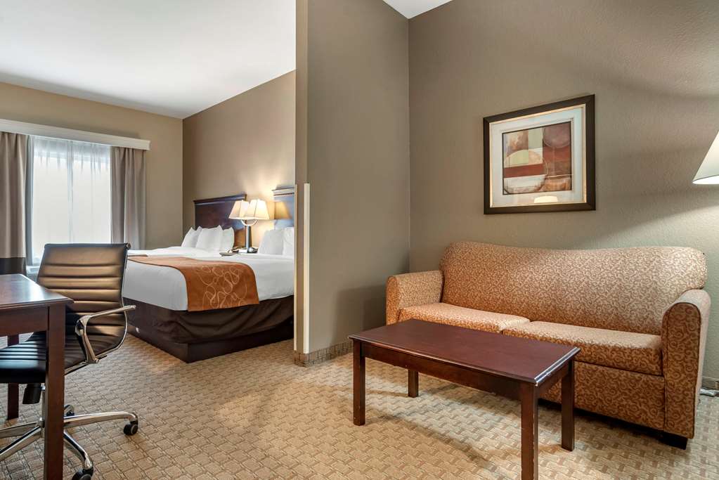 Comfort Suites Biloxi Ocean Springs - photo 17