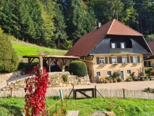 Rechenpeterhäusle — 5-Star Luxury Hotel in Fischerbach, Germany