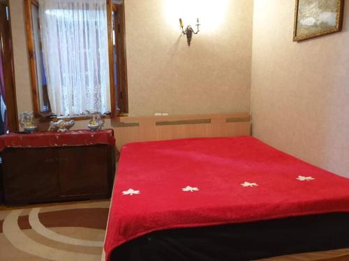 Apartmnet on Machabeli 20