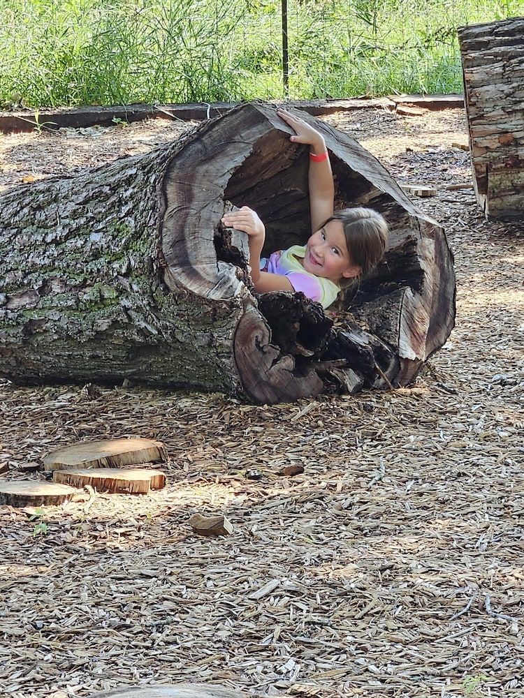 Sycamore Springs - photo 31