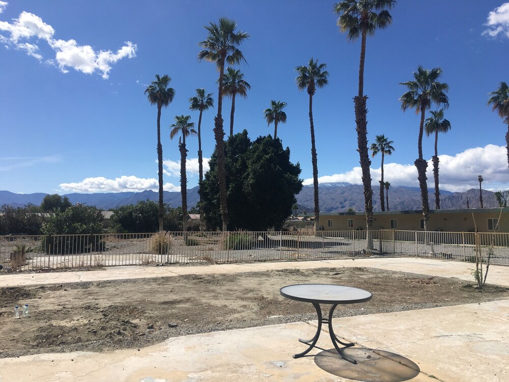 Palm Shadow Inn - photo 16