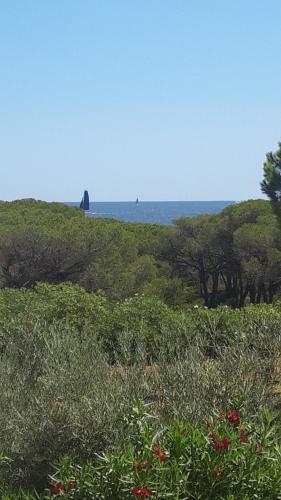 I Villini Di Baia Sant’anna — Budoni — photo 3