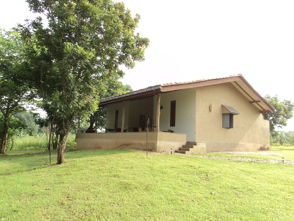 Wild Escape in Kataragama, Sri Lanka