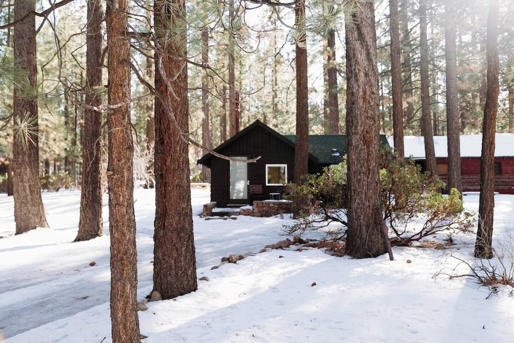 Colorado Lodge - photo 33