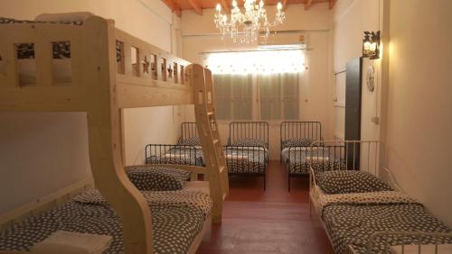 Water Lily Hostel
