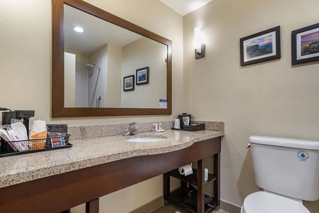 Comfort Suites Pell CIty near Logan Martin Lake - photo 21