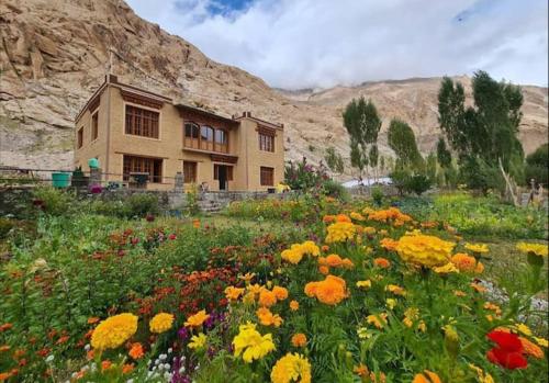 Cho Ecostay Teri - last minute hotel in Leh