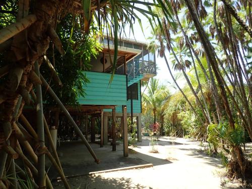 Winters Avalon in Unknown City, Belize