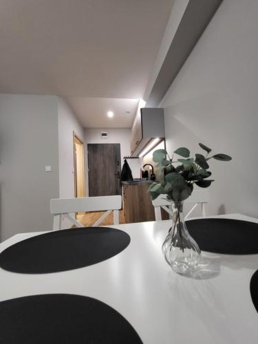 Aparthotel10 19812721 — Bystrzyca Klodzka