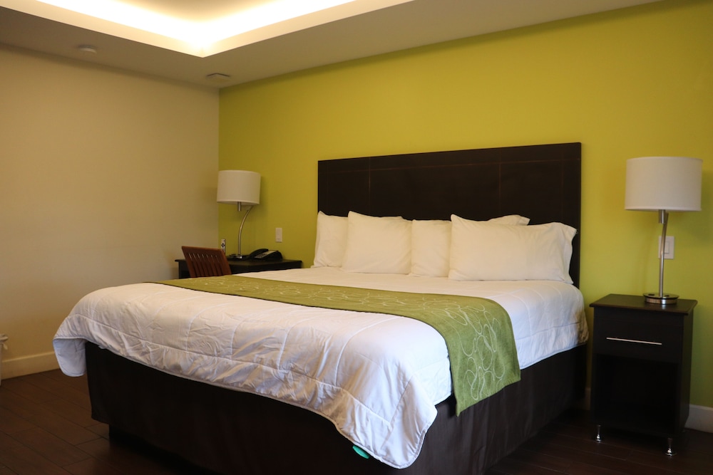 Curtis Inn & Suites - photo 27