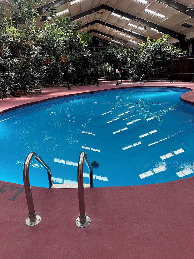 Historic Cow Palace Inn - photo 22