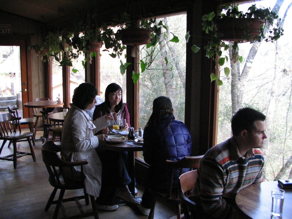 Yosemite Bug Rustic Mountain Resort - photo 104