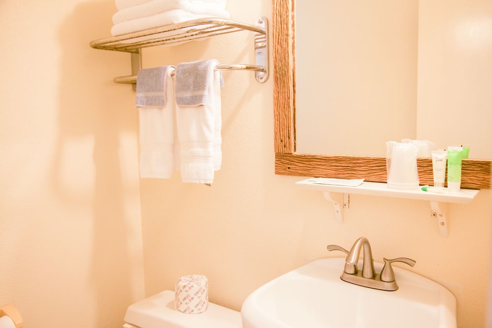 Shiner Country Inn - photo 24