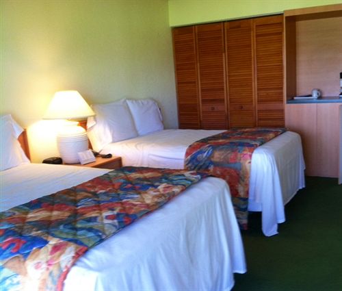 Hollywood Beach Golf Resort - photo 29