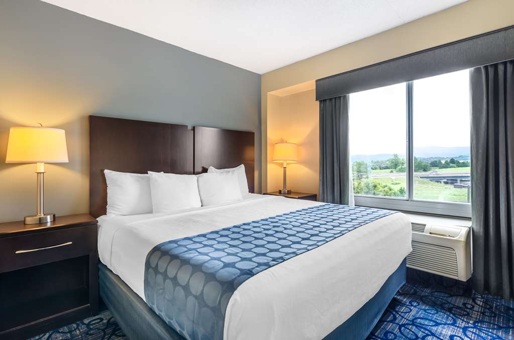 Best Western Plus Waynesboro Inn & Suites Conference Center - photo 28