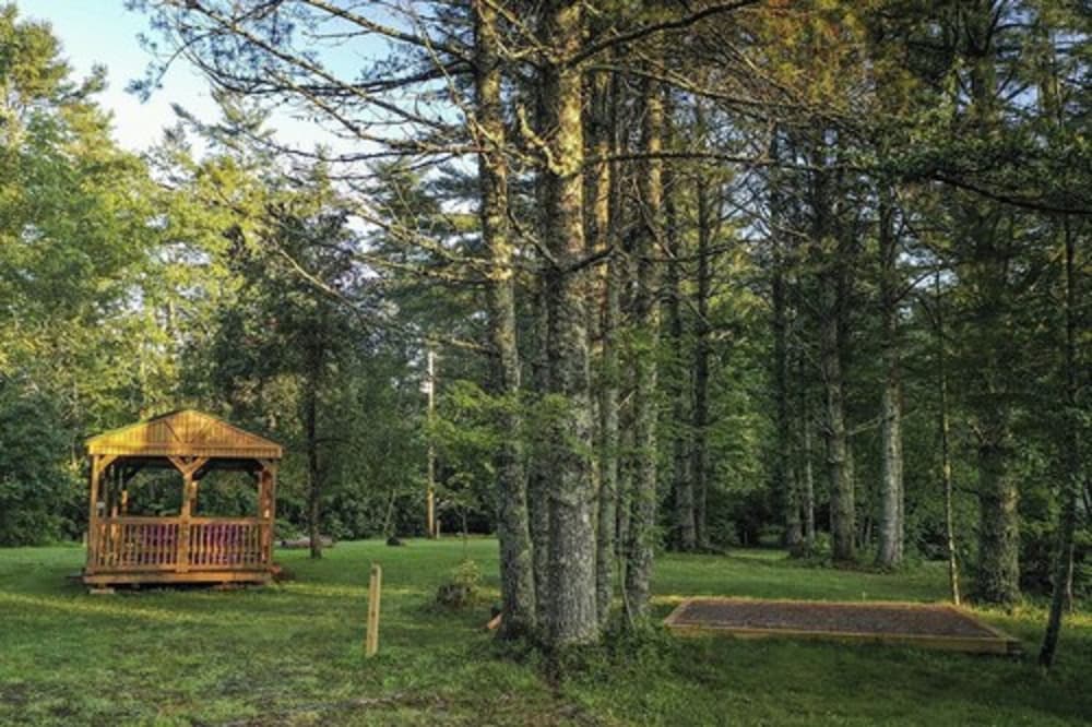 The Pineola - photo 29