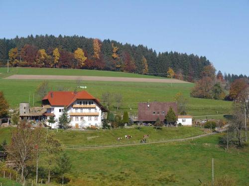 Dischhof - carbon neutral hotel in Triberg