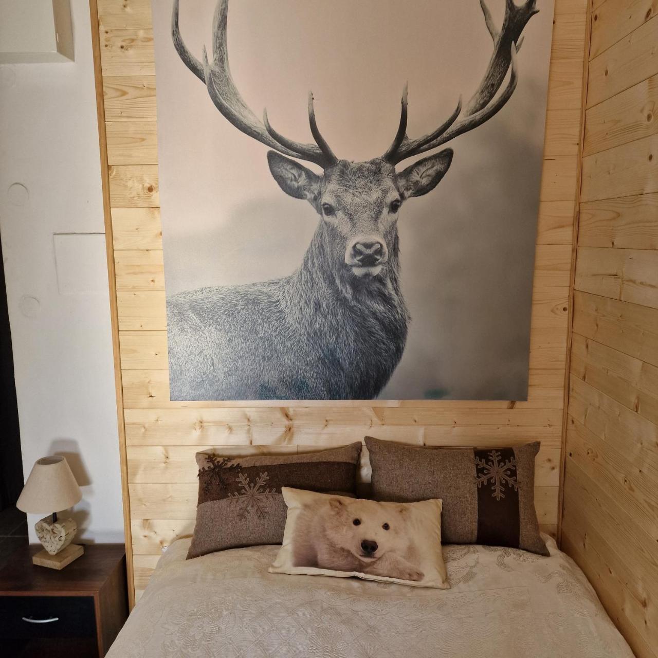 Font Romeu — Unknown City — photo 3