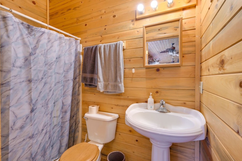 Salmon Vacation Rental w On site River Access - photo 2