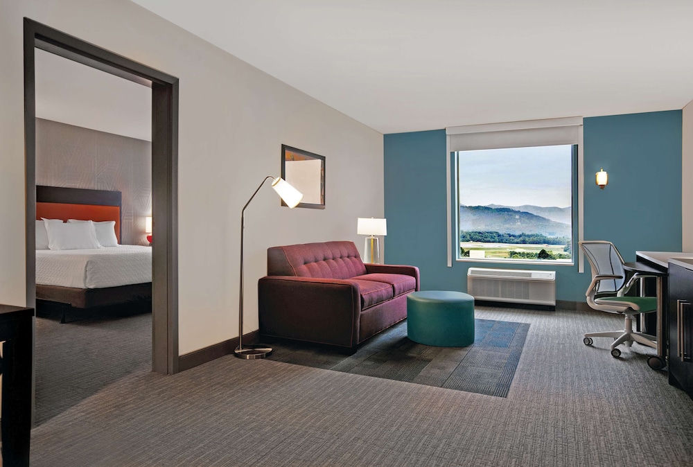 Home2 Suites Asheville Airport - photo 23