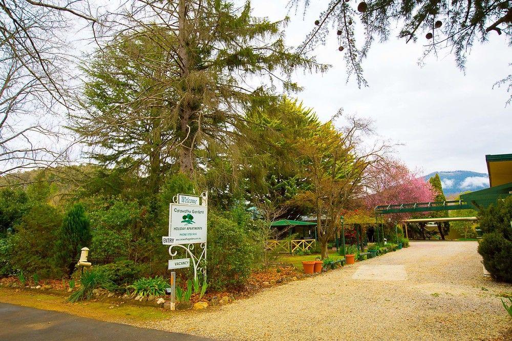 Carawatha Gardens in Bright, Australia