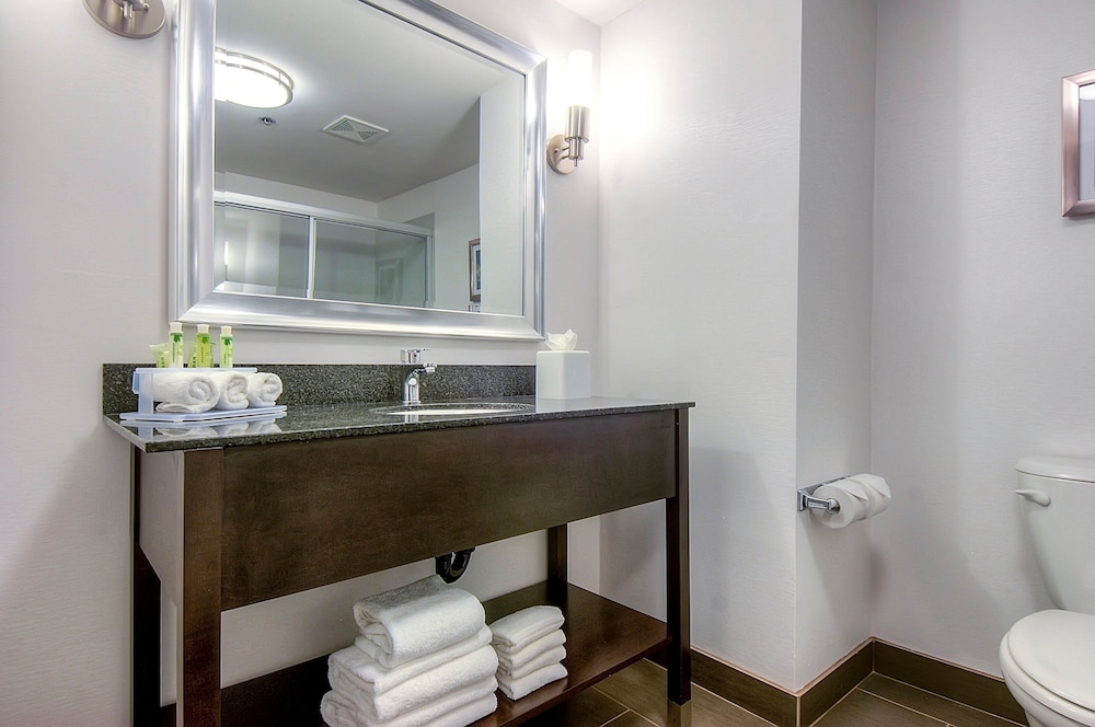 Holiday Inn Express Hotel & Suites Carlsbad Beach by IHG - photo 14