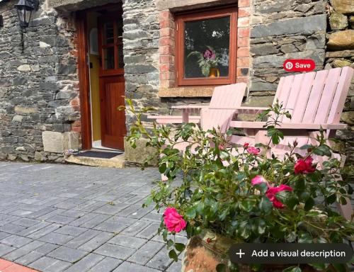 The Little Gem in Unknown City, Republic of Ireland