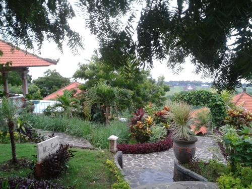Raja Singha — Lovina — photo 2