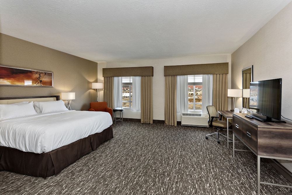 Holiday Inn St. George Conv Ctr by IHG - photo 14