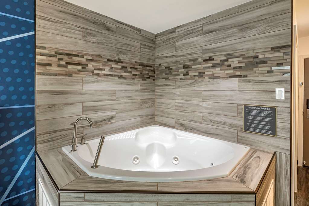 Comfort Inn Mount Pleasant Racine - photo 15