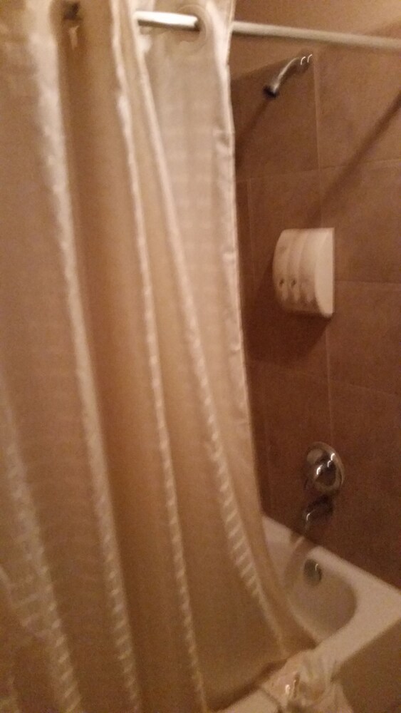 Lakeview Inn & Suites - photo 24