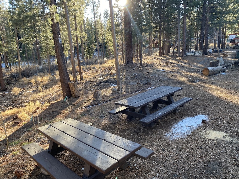 Cinnamon Bear Inn - photo 31