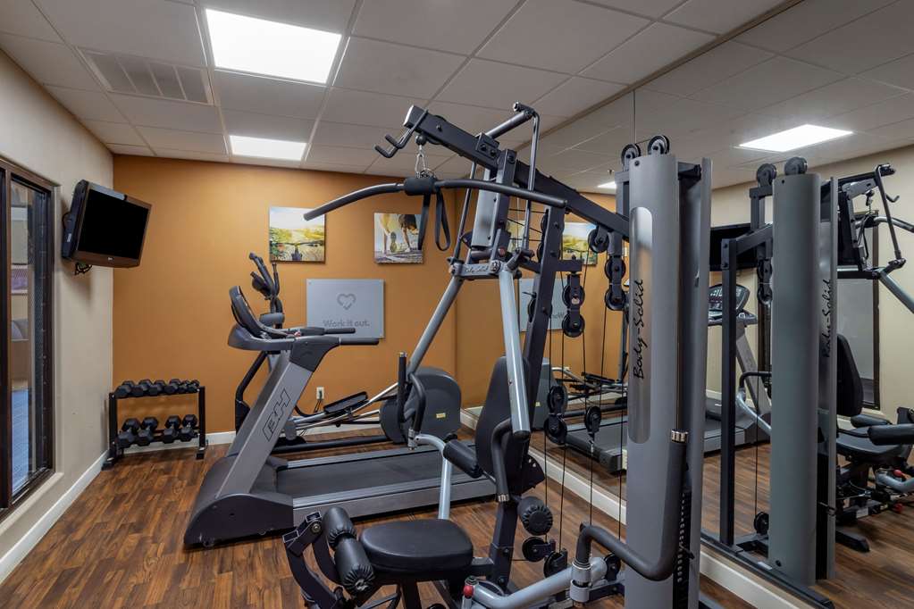 Comfort Suites Houston near Medical Center NRG Stadium - photo 26