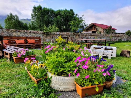 Allegria House
