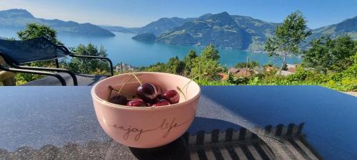 BellaRosa — 4-Star Luxury Hotel in Emmetten, Switzerland