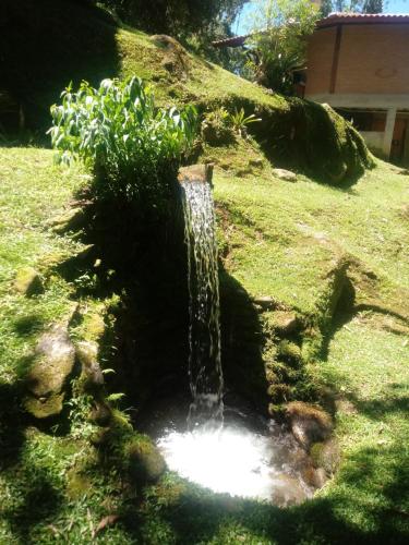 Chalé Truta da Floresta — Itatiaia — photo 4
